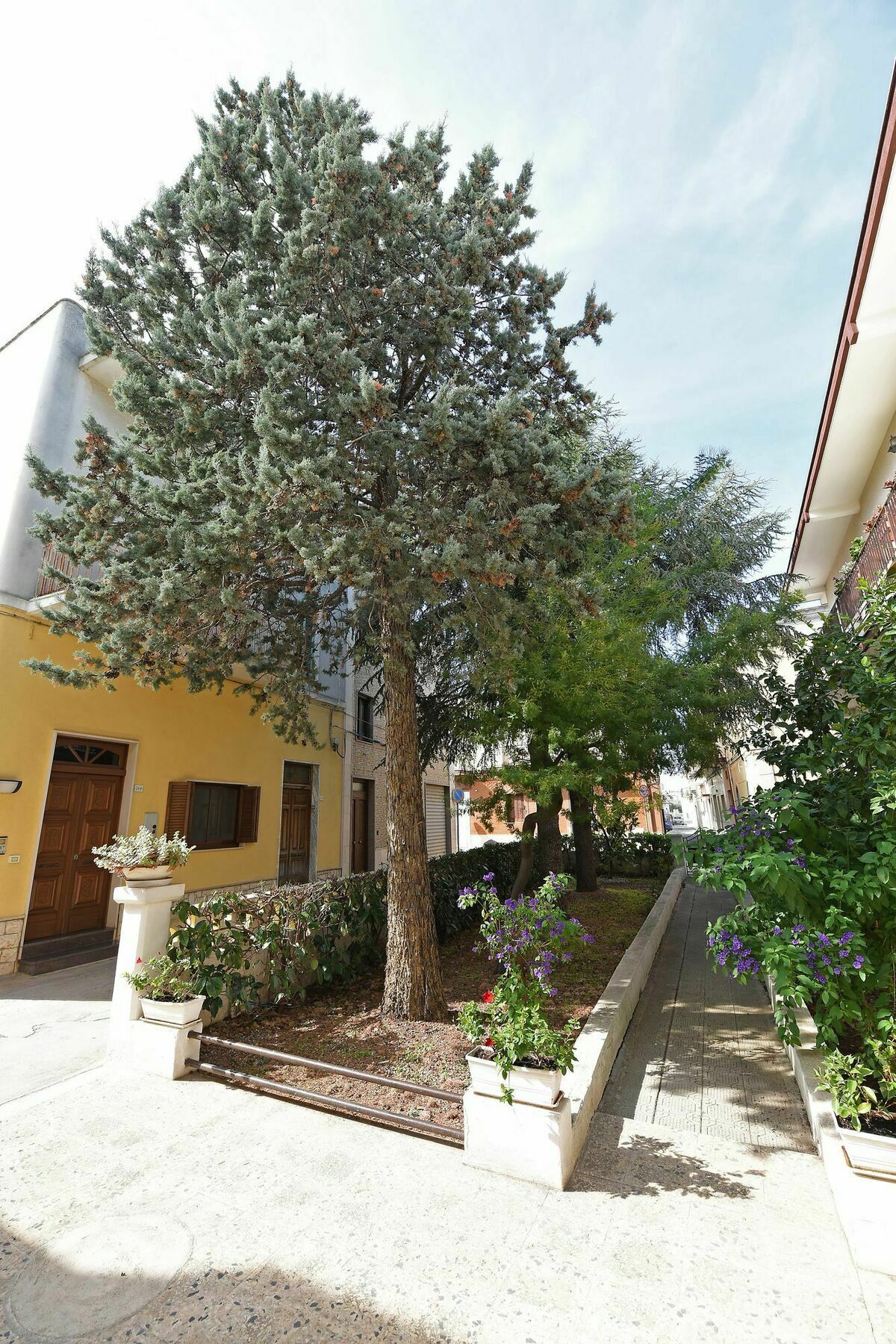 Villa Ricciardi-Suite Famigliare 1-Zona Ostuni Montalbano  Dış mekan fotoğraf